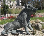 sanglier